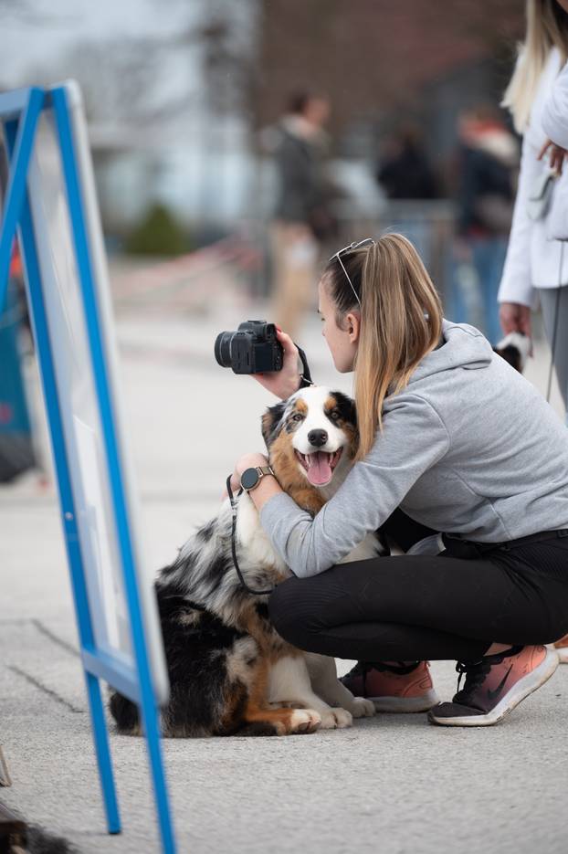 U Zaprešiću održana CAC nacionalna izložba pasa
