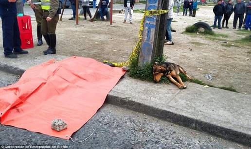 Vlasnika pregazio auto, a tužni psić se odbio maknuti od tijela