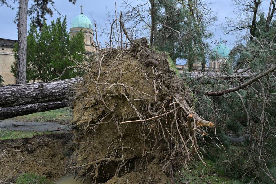 Zagreb: U nevremenu teško  oštećeno gradsko groblje Mirogoj