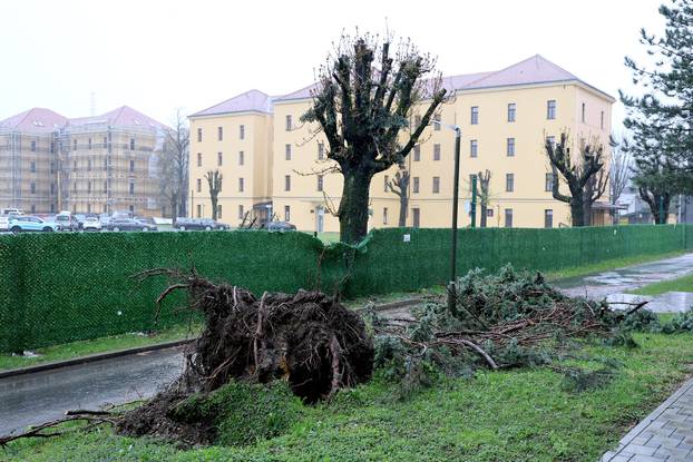 Zagreb: Vjetar  isčupao i stablo uz Sabor
