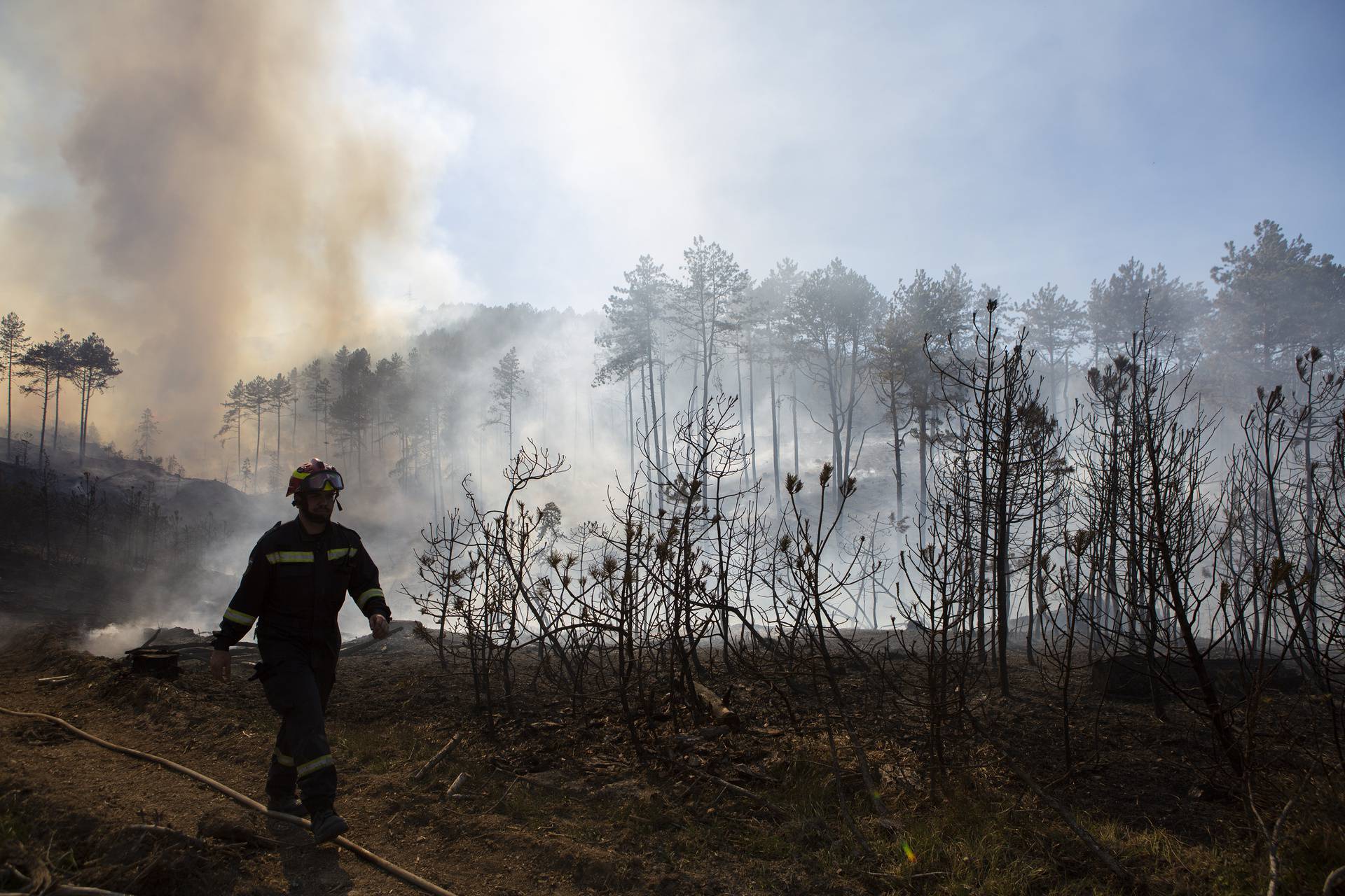 Spojila se dva požara kod Muća: Izgorjelo 50 hektara šume