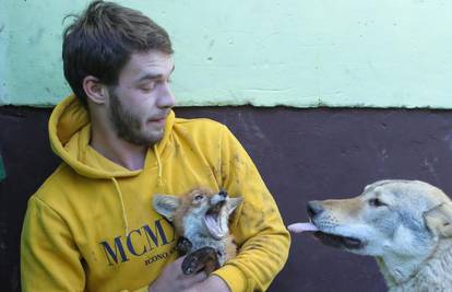 Jasmin kraj Valpova udomio je lisicu i vučjeg psa: 'Čim As vidi Mašu ljubi je i maše repom'