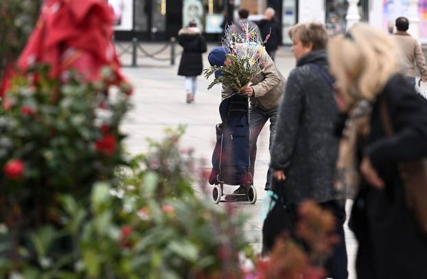 Zagreb: Prodaja maslinovih grančica uoči Cvjetnice