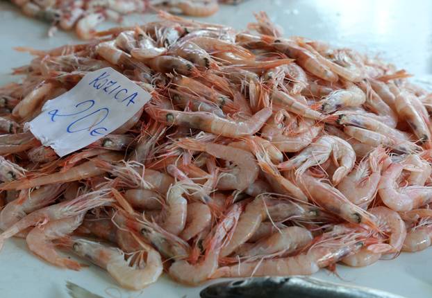 Šibenik:Bogata ponuda ribe na sibenskoj ribarnici.