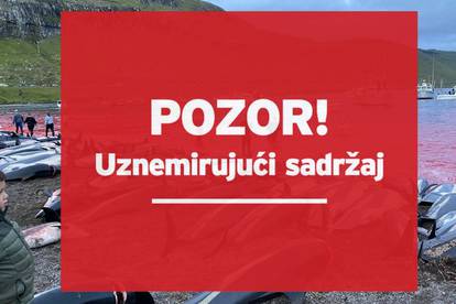 Šokantni prizori: More crveno od krvi, na Farskim otocima u jednom danu ubili 1400 dupina