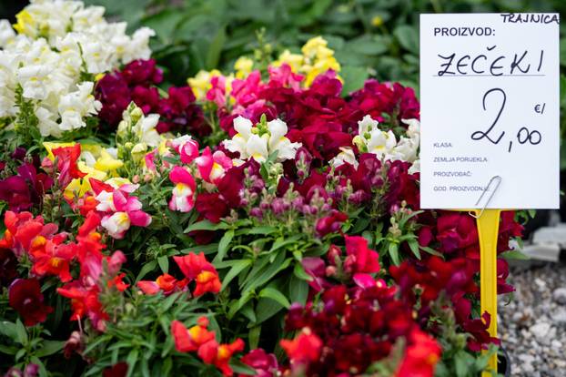 24sata Zagreb: Ponuda na Floraartu