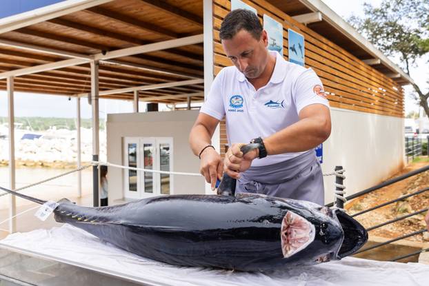 Tunalicious spektakl u Istri i međunarodno natjecanje u lovljenju kraljice Jadrana - tune