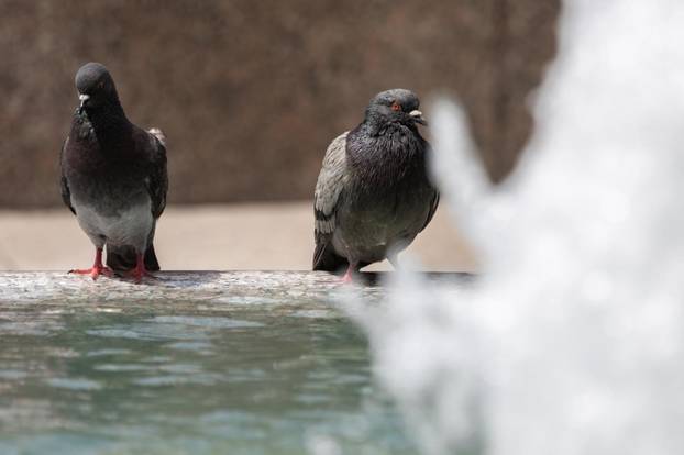 Gradska svakodnevica u centru grada na prvi dan ljeta