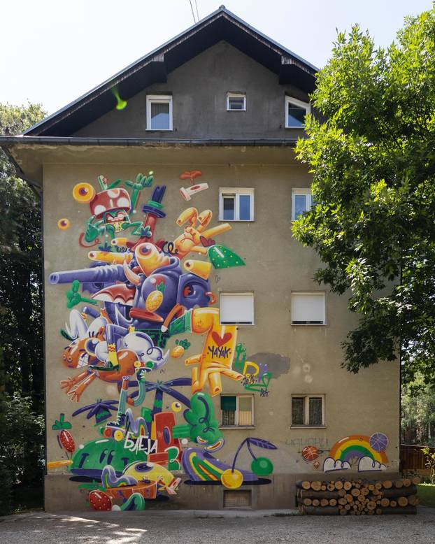 FOTO Grad pretvoren u galeriju: Pogledajte predivne murale na kućama i zgradama u Čačku