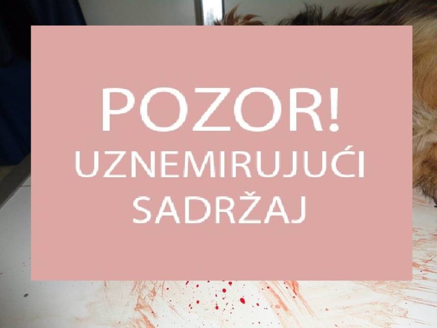 Udruga Spas Varaždin/Facebook