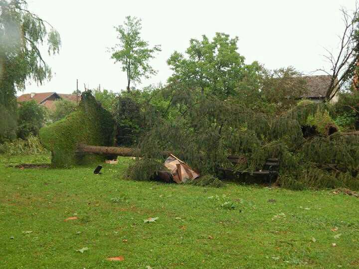 Poplavljen Cres, srušena stabla u Popovači, pijavice u Istri...