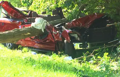 VIDEO Bizarna nesreća u New Yorku: Stablo se srušilo na auto. Jedan poginuo, dvoje ozlijeđeno