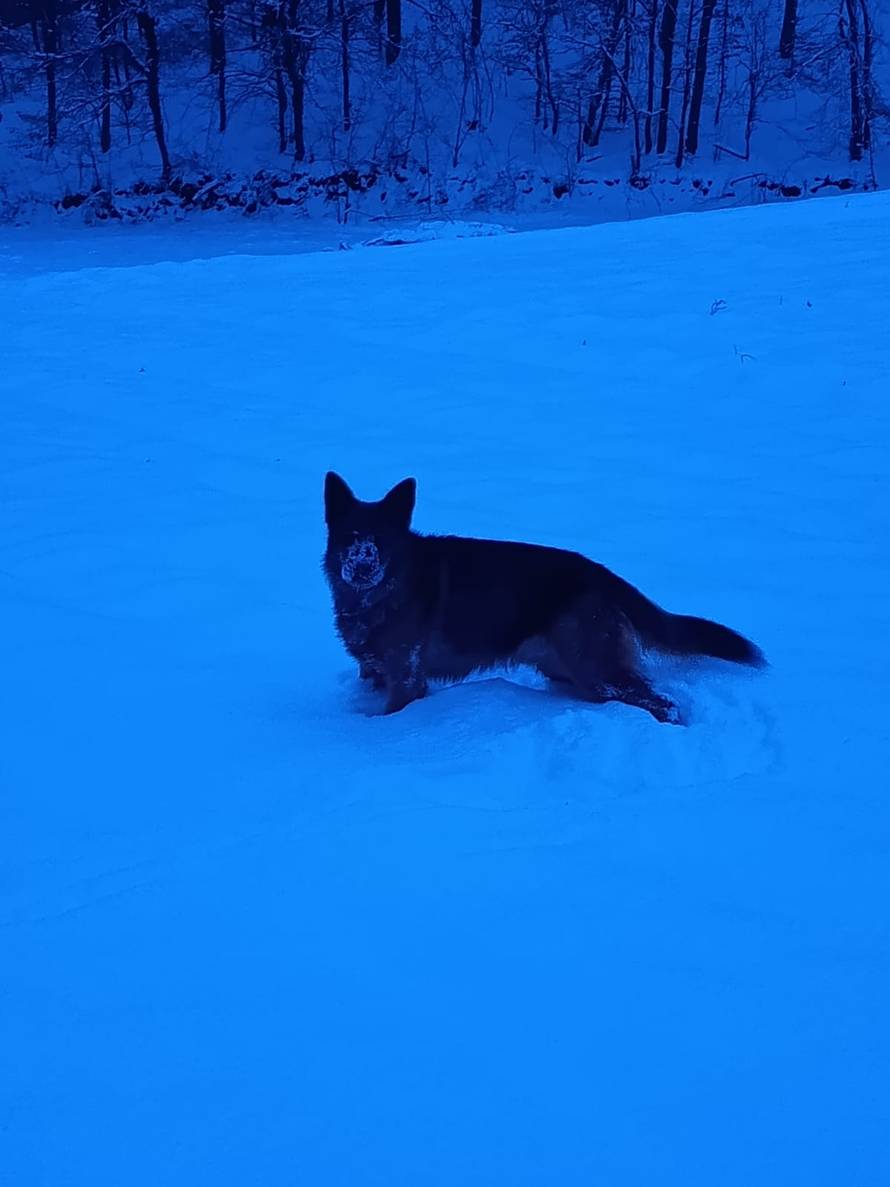 Općinska komunalka sama 'izlopatala' snijeg sa staze: 'Nema nikakve drame u tome'