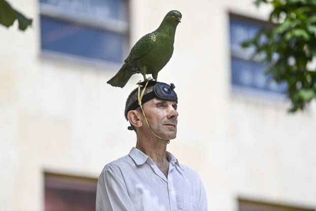 Zagreb: Noć Performansa - Siniša Labrović  - A monument to the pigeon na Cvjetnom trgu
