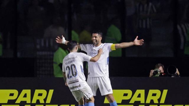 Brasileiro Championship - Botafogo v Gremio