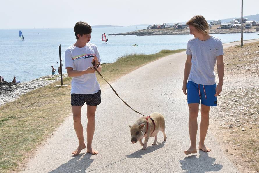 Ona je hit: 'Naša mala svinjica svakome na plaži uljepša dan'