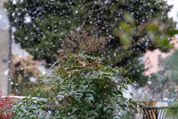 U Puli od ranog jutra pada gusti snijeg
