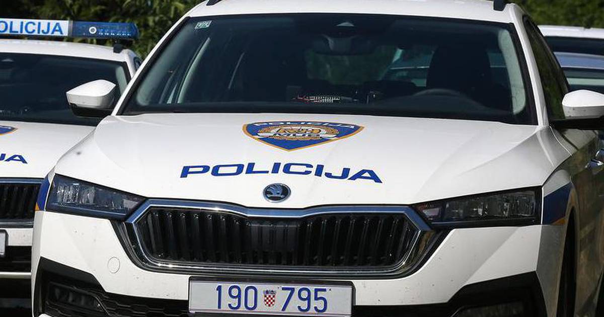 Man in Poreč Shoots Neighbor’s Cat with Air Rifle, Surrenders Weapon to Police