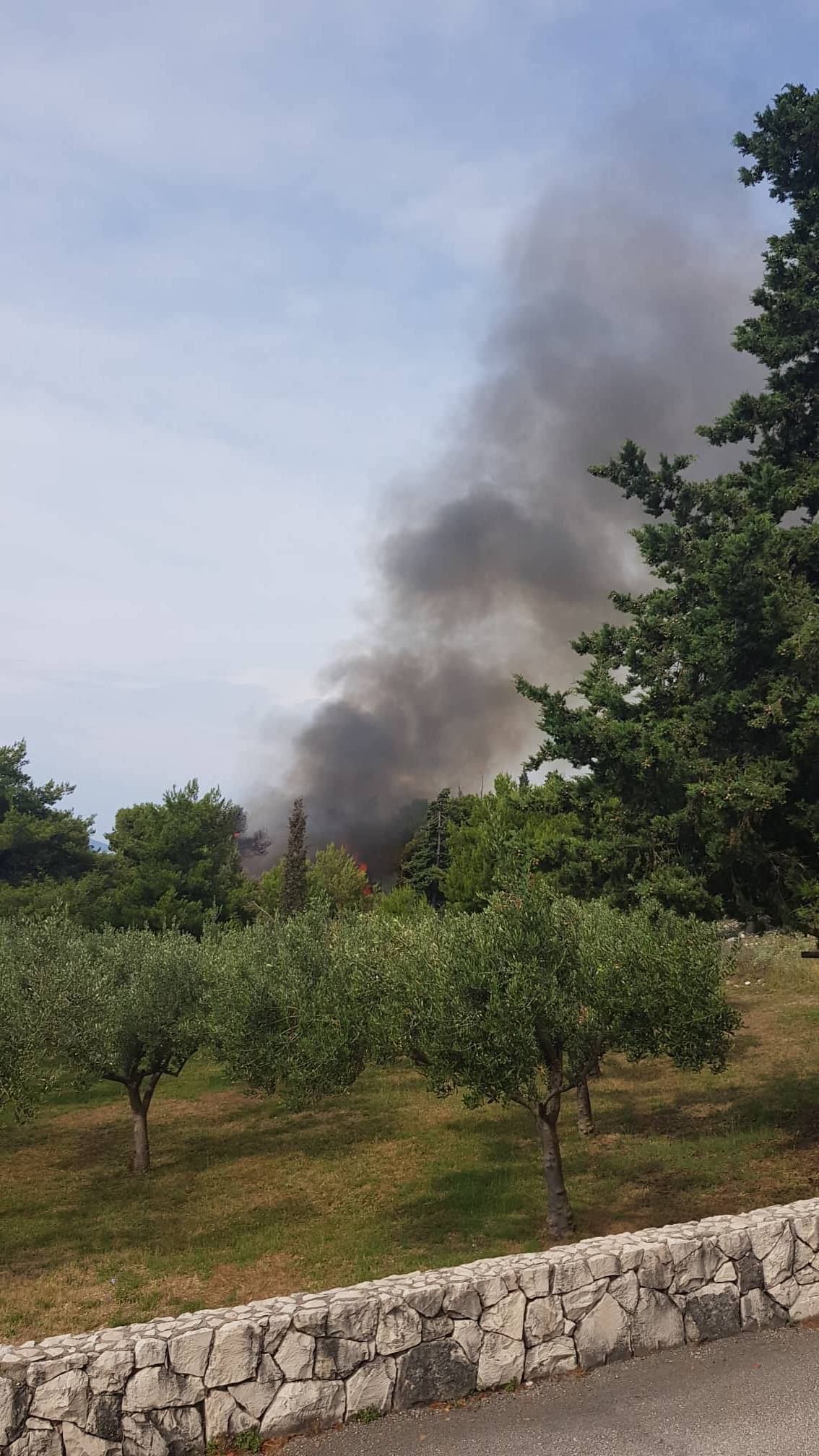 Požar kraj hotela Medena: Na teren izašlo 20 vatrogasaca