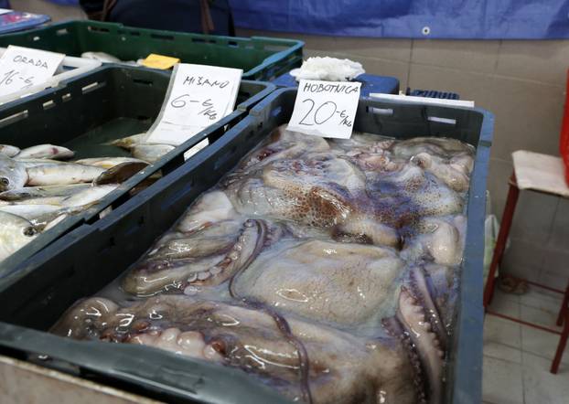 Šibenik: Bogata ponuda ribe na šibenskoj ribarnici
