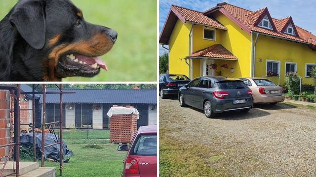 Tri psa je napala i izgrizla kad ih je došla nahraniti: 'Ulicom se čuo krik koji ledi krv u žilama'