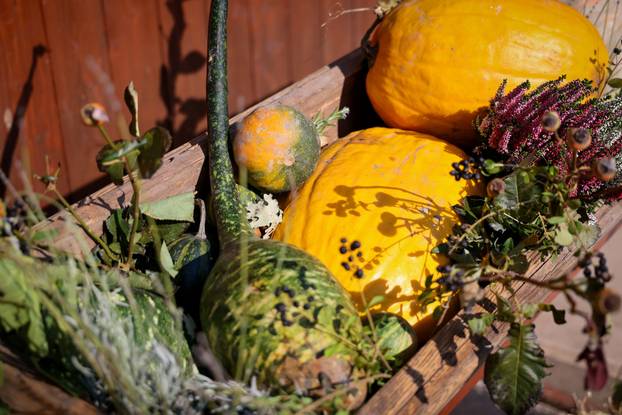 Zadar: Predsjednik Hrvatskog sabora Gordan Jandroković obišao je manifestaciju pod nazivom „Pijat na Pijaci“ 
