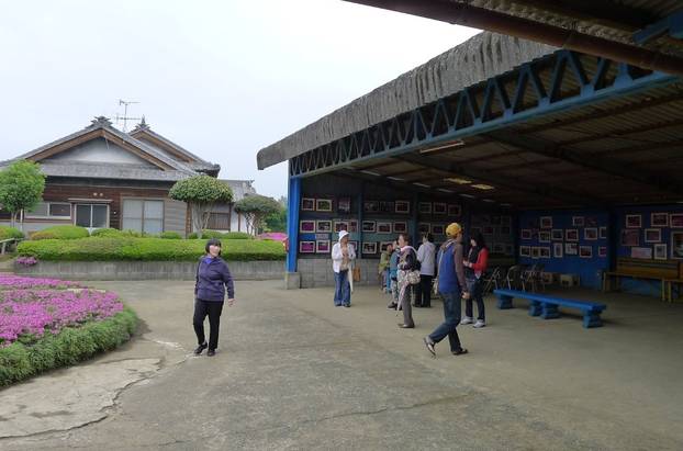 FOTO Pogledajte tu divotu: Farmer zasadio tisuće cvjetova za svoju slijepu suprugu