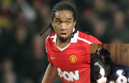 Sir Alex, uzmite jednoga: Igrač Uniteda "zaglibio" je sa psima