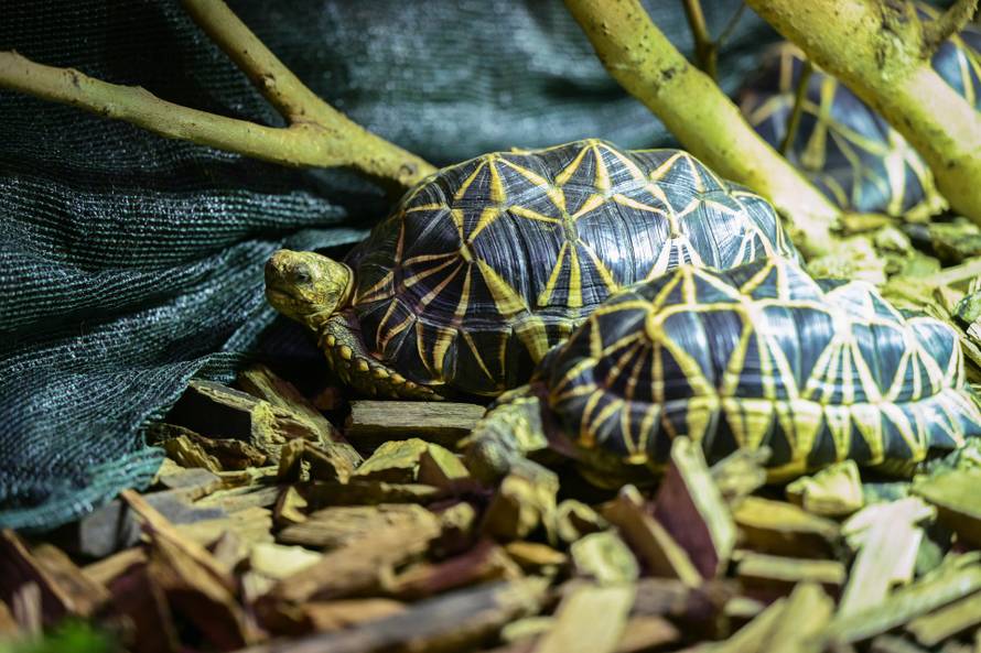 24sata Zagreb: Rodilište u Zoološkom vrtu