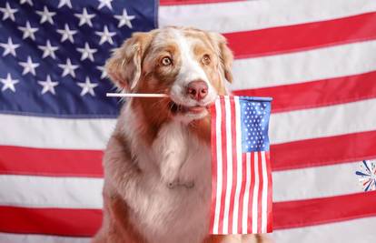 Amerikanka uspjela registrirati psa kao glasača na izborima?!