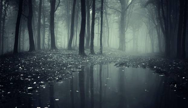 FOTO Djecu je prestravilo ono što su vidjela u šumi:  'Čudovište je bilo ogromno, bježali smo...'