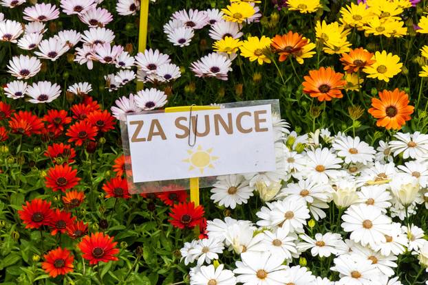 Pula: 17. sajam cvijeća Florija na Giardinima