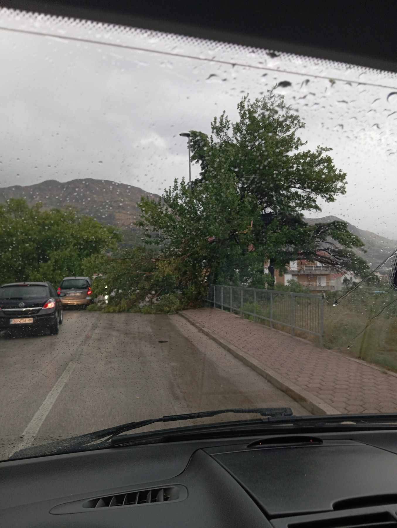 FOTO Nevrijeme u Dubrovniku: Odron kamenja, stabla na cesti