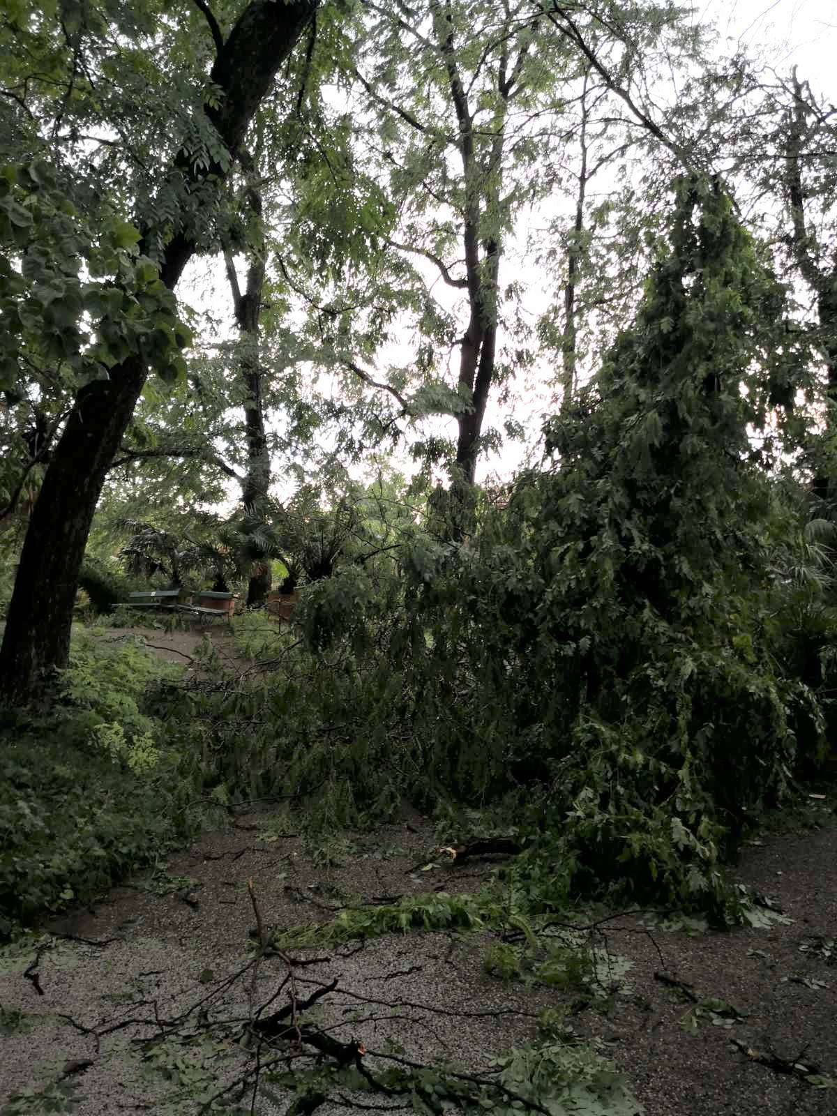 Nevrijeme uništilo Botanički vrt u Zagrebu: 'Kataklizma nas je zahvatila, moramo zatvoriti...'