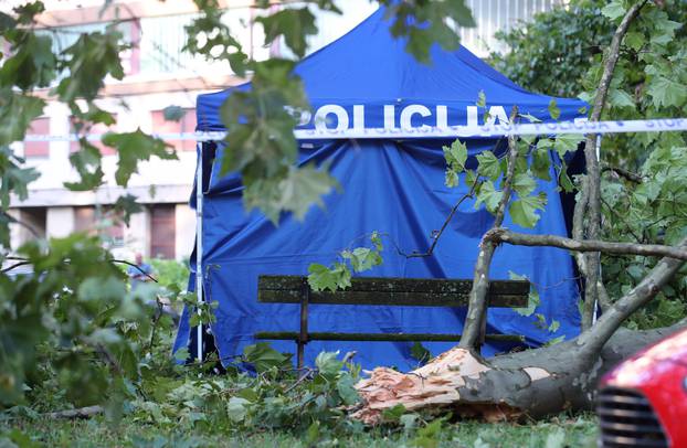 Zagreb: U jakom nevremenu koje je pogodilo grad jedna osoba je smrtno stradala 