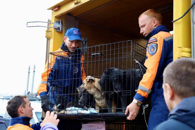Moscow zoo hosts dog shelter evacuated from Kursk region