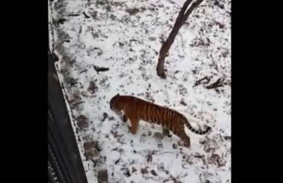 Trebao mu biti ručak, ali na kraju su se sprijateljili