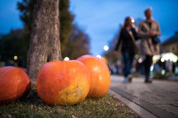 Održana 21. Bučijada i Sajam bučina ulja u Ivanić-Gradu