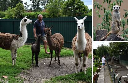 Slavonski dr. Dolittle: 'Svaki dan hranim čak 400 životinja'