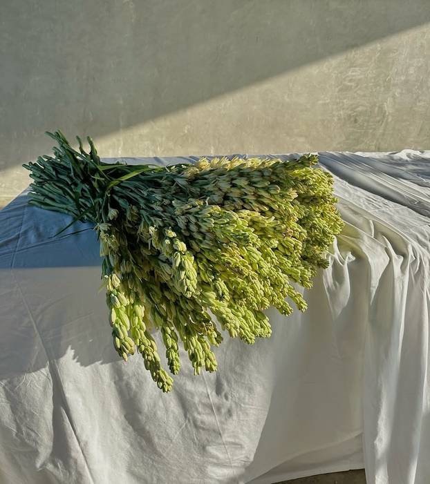 FOTO Egzotičan hotel u džungli na Baliju - Savršen spoj divljeg i modernog za avanturiste