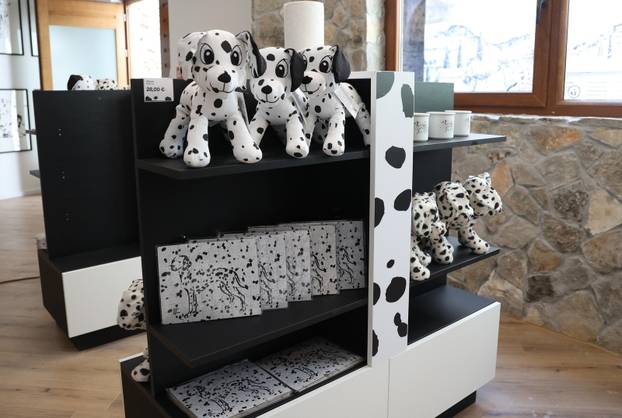 Šibenik:Otvoren muzej dalmatinskom psu,dalmatincu 