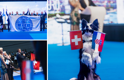 Zagreb je od danas svjetska prijestolnica psećeg svijeta