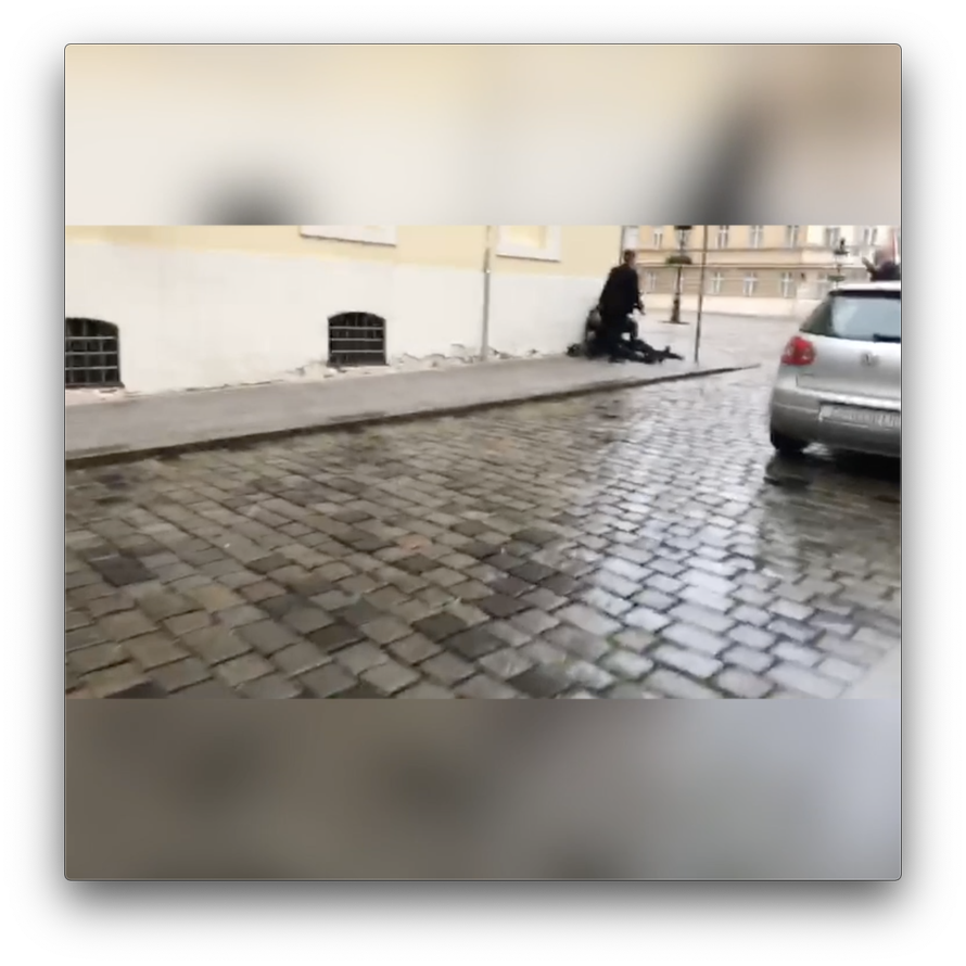 VIDEO Snimka nakon napada: Prolaznici su pomogli policajcu