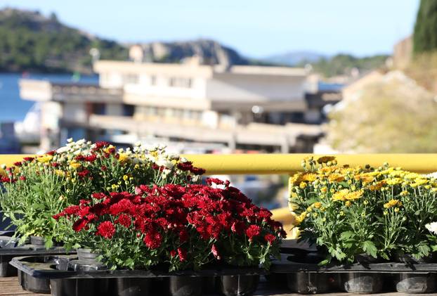 Šibenik: Uo?i nadolaze?ih blagdana pove?ana ponuda cvije?a i cvjetnih aranžmana