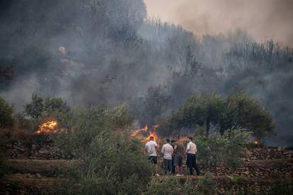 FOTO Strašni prizori na sjeveru Žrnovnice: Vatra među kućama!