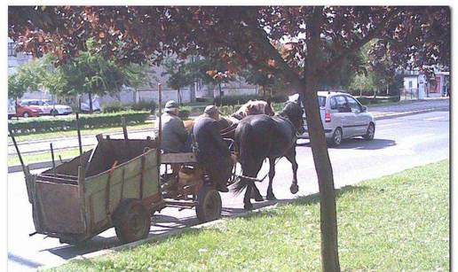 Konjska zaprega za vrijeme špice u Zagrebu 