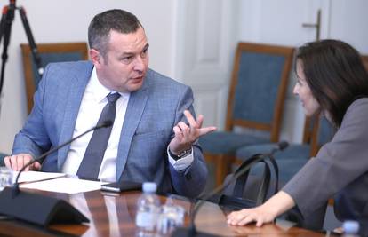 Ustavni stručnjak: 'Milanović je državno tijelo i zato ne može biti kandidat na ovim izborima'