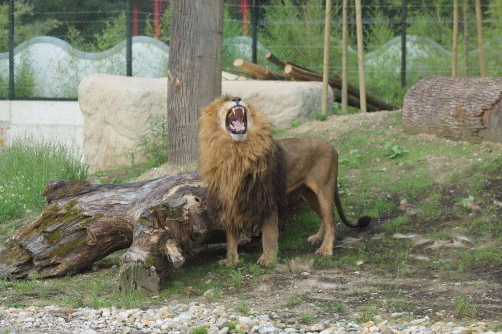 Zoo Zagreb