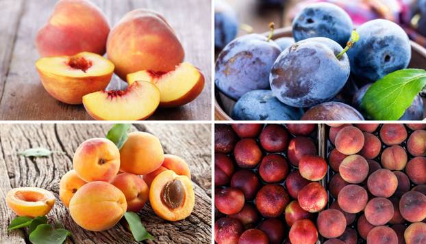 Ovih 20 namirnica nikako ne biste smjeli čuvati u frižideru