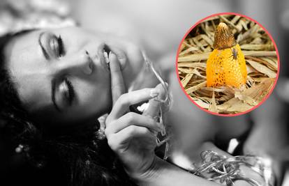 Žene doživljavaju orgazme čim osjete miris ove čudesne gljive